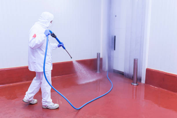 Best Concrete Surface Cleaning in Bolingbrook, IL